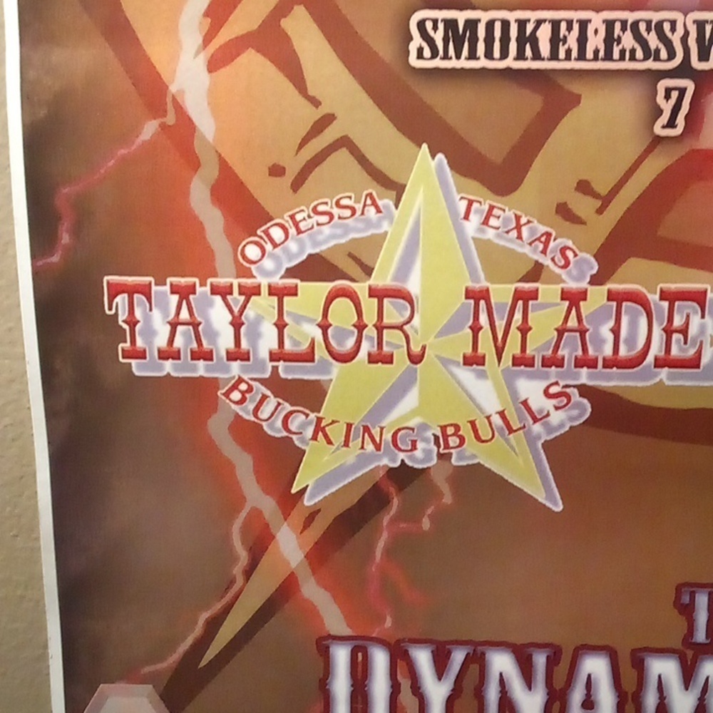 NWOT - Introducing The Dynamic Duo Rodeo Poster - Picture 5 of 7